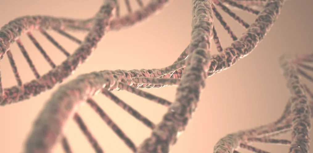 DNA ve RNA Numunelerinin Taşınmasında Sıcaklık Kontrolü